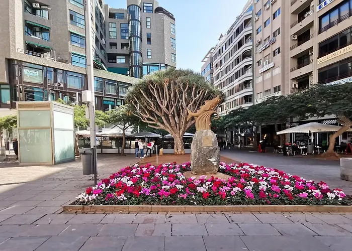 Home2book Charming Cruz, Wifi