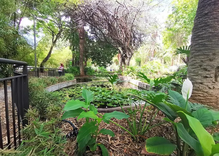 Home2book Charming Cruz, Wifi Apartament Santa Cruz de Tenerife