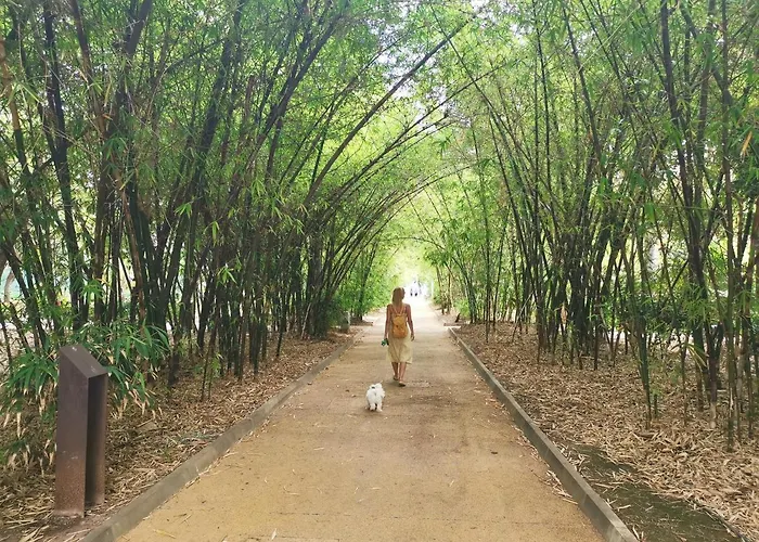 Home2book Charming Cruz, Wifi Santa Cruz de Tenerife